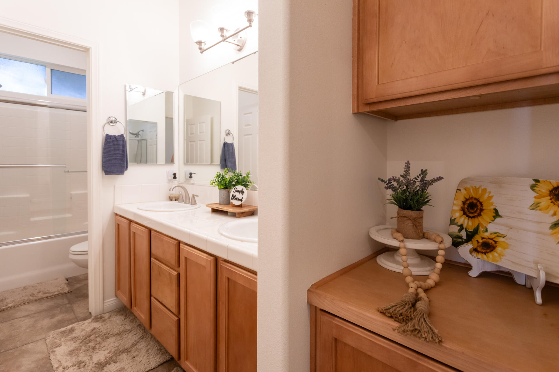 48305 Pic Way Indio, CA 92201 - Photo 64 of 80 a bathroom with a sink a potted plant and a shower
