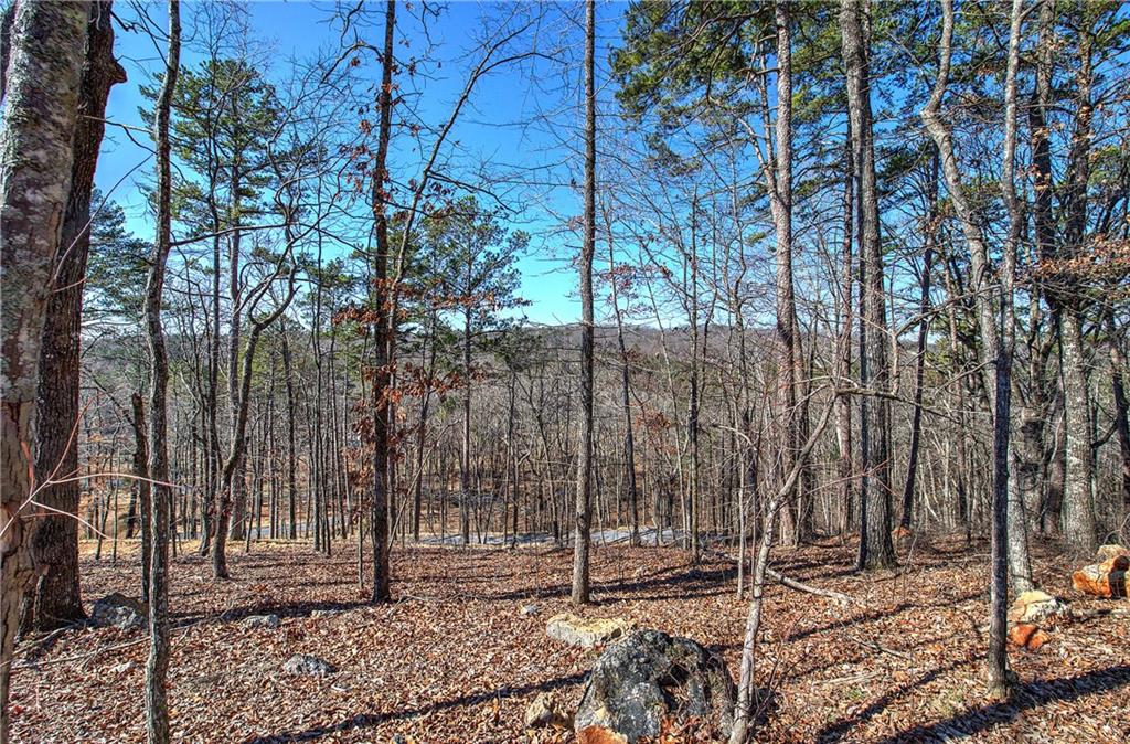 676 Flowery Branch Road Kingston, GA 30145 - Photo 58 of 96 Gallery Image 58