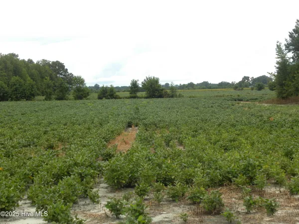 $900,000 | Tbd Conetoe Road, Greenville, NC 27834