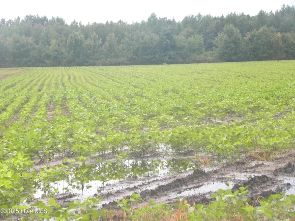 $900,000 | Tbd Conetoe Road, Greenville, NC 27834