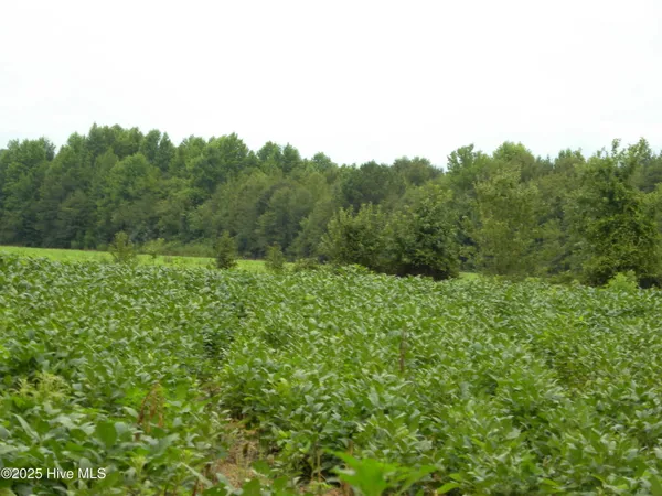 $900,000 | Tbd Conetoe Road, Greenville, NC 27834