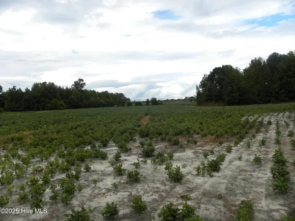 $900,000 | Tbd Conetoe Road, Greenville, NC 27834