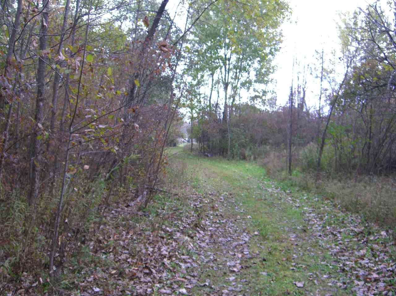 77435 Capac Road Armada, MI 48005 - Photo 14 of 45 31368228-13.JPG