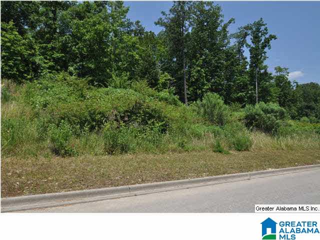 305 Logos Trace, Unit 46 Alabaster, AL 35007 - Photo 1 of 1