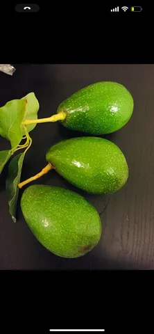 a view of a swimming pool with an outdoor space