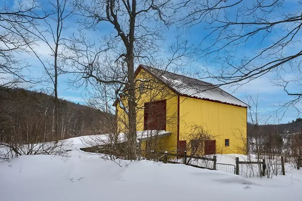 a view of a park with a tree