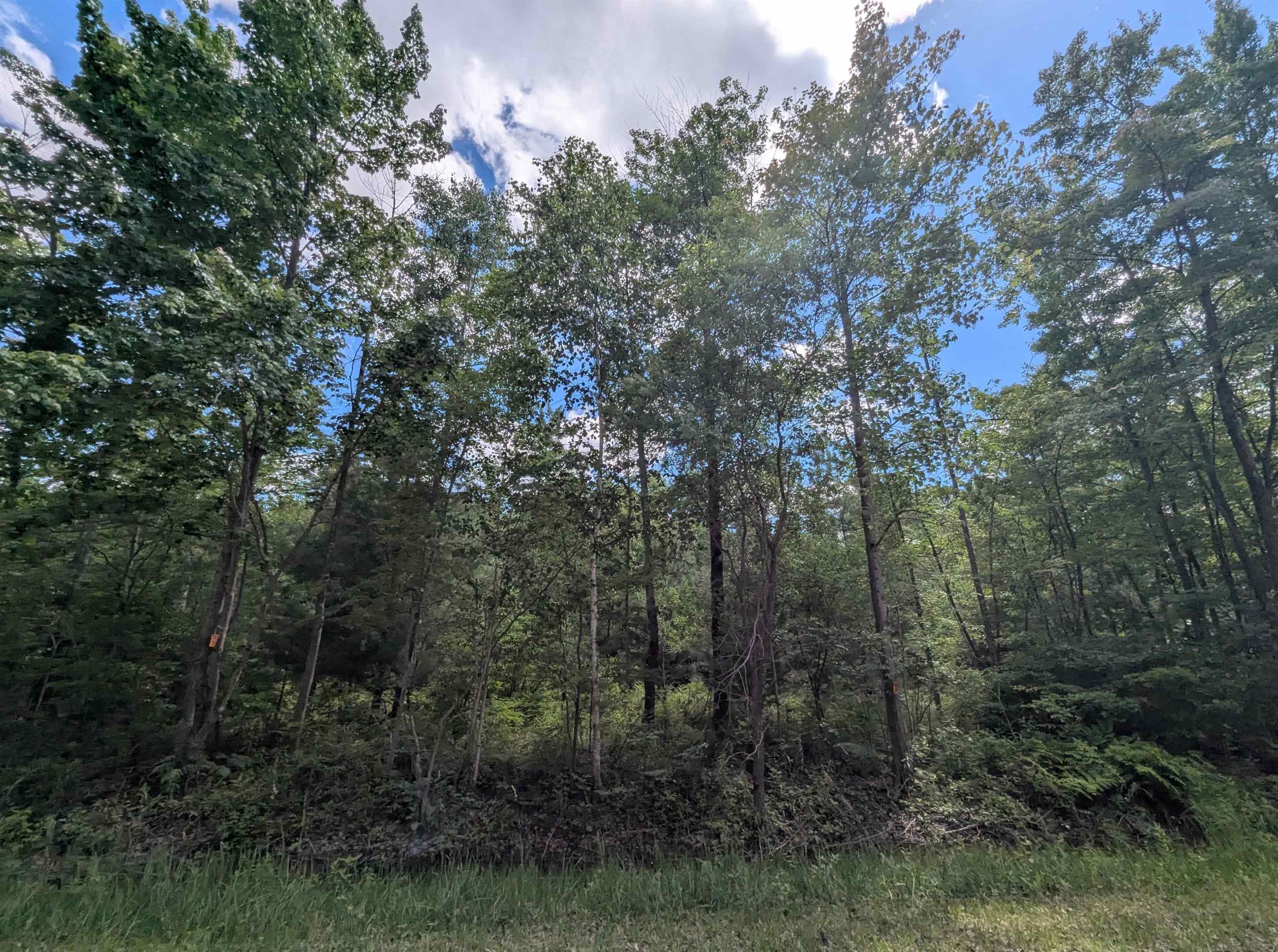 N/a Bordeau Road Standish, MI 48658 - Photo 6 of 8