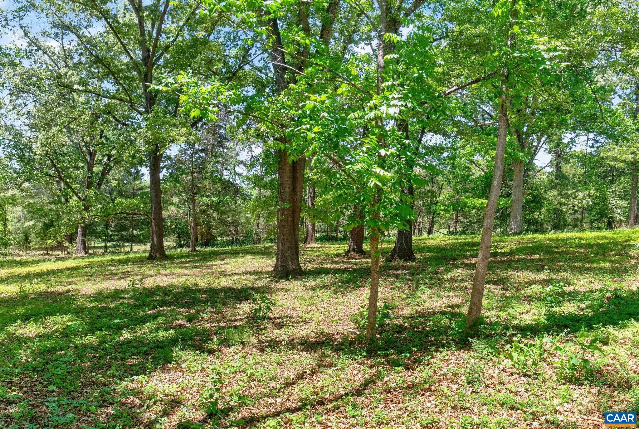 4362 Ivy Road Charlottesville, VA 22903 - Photo 49 of 73