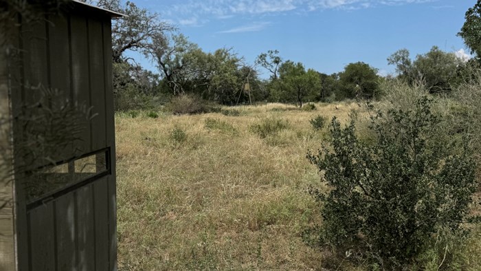 159 Mormon Creek Road Doss, TX 78618 - Photo 27 of 29