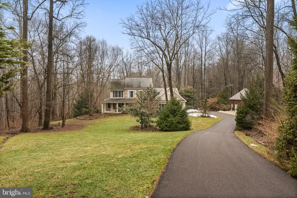 a view of a yard with large trees