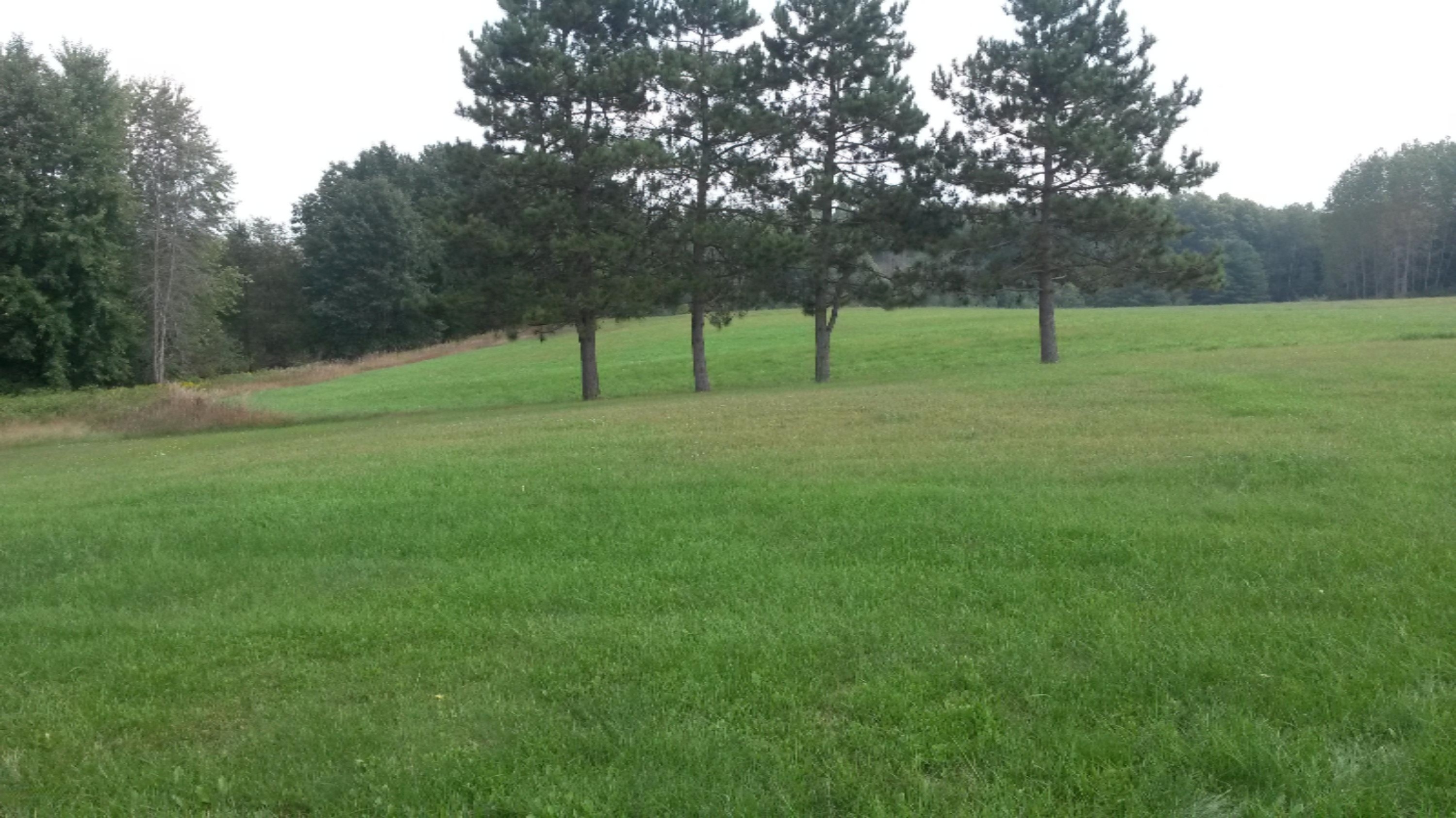 8608 Masters Road Howard City, MI 49329 - Photo 14 of 14 20150902_135537