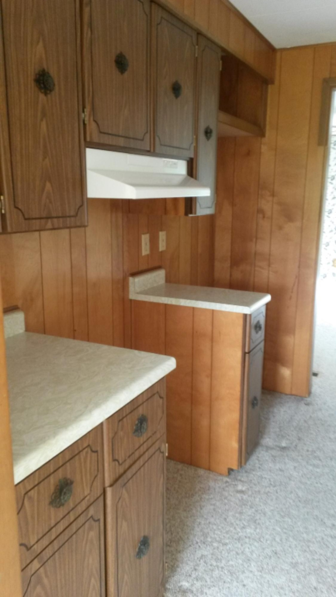 8608 Masters Road Howard City, MI 49329 - Photo 9 of 14 20150902_134254