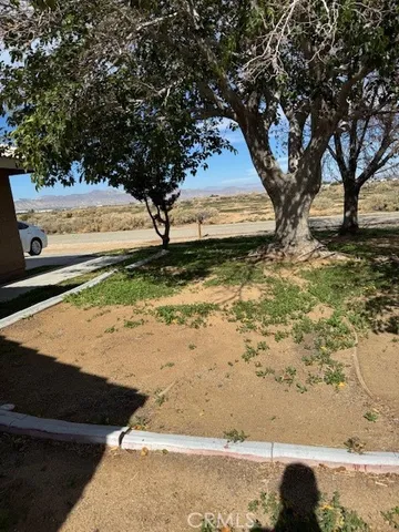 a view of an outdoor space with yard