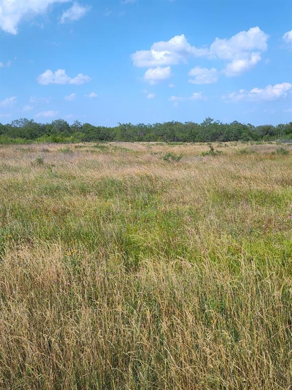 49 Boren Private Road Wortham, TX 76693 - Photo 2 of 2 a view of lake with city view