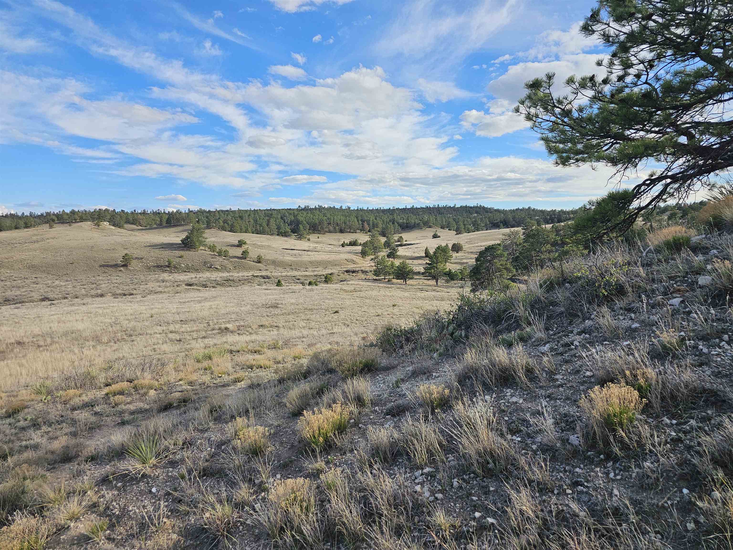 52 Wendover Road Guernsey, WY 82214 - Photo 25 of 42