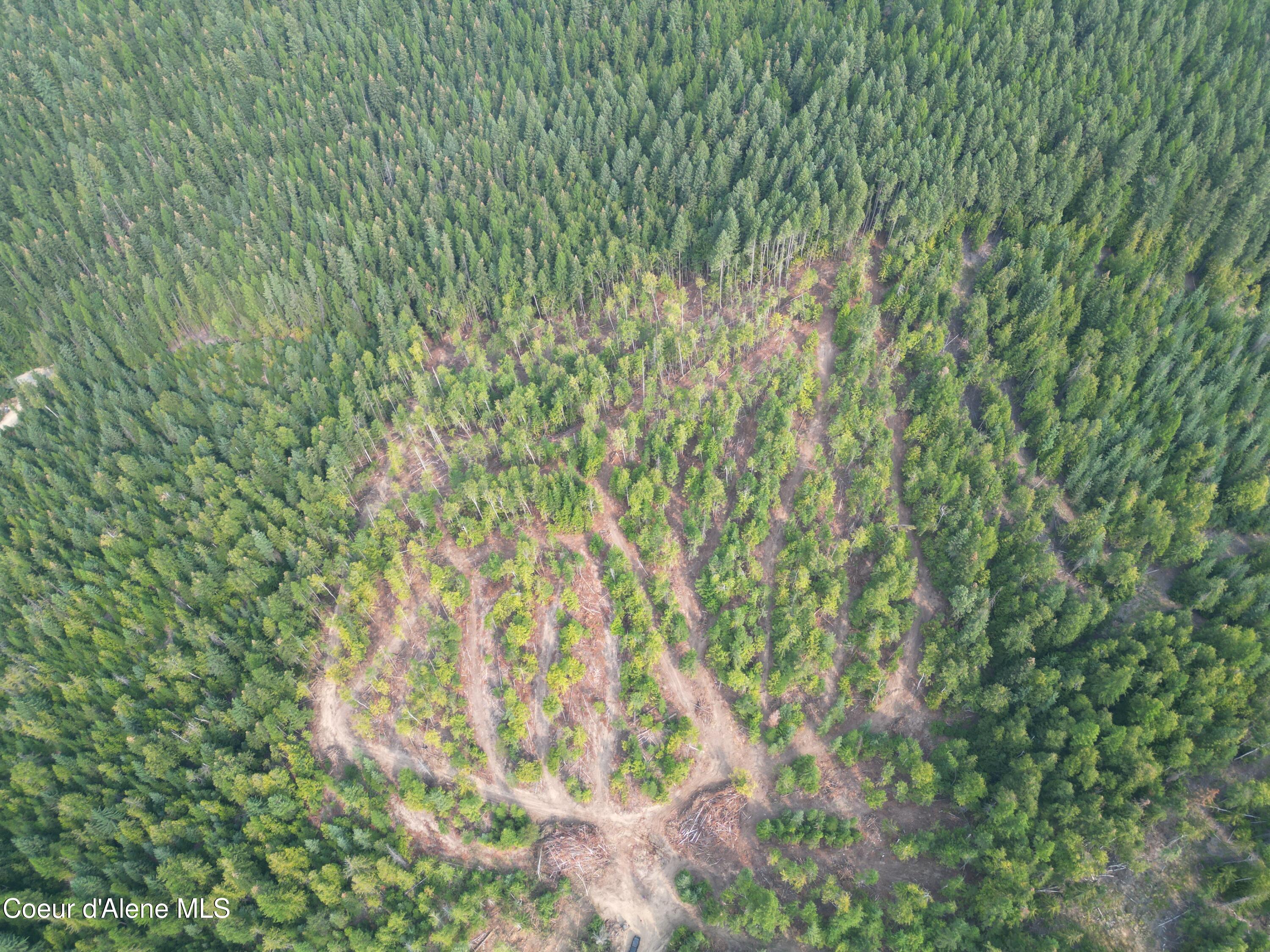 Nka Quartz Crk Road Priest River, ID 83856 - Photo 12 of 47 DJI_0016
