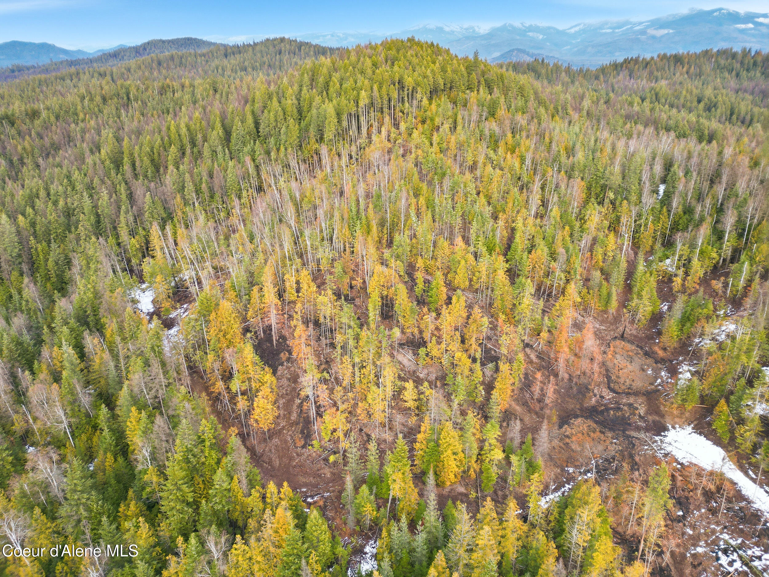 Nka Quartz Crk Road Priest River, ID 83856 - Photo 13 of 47 dji_0988