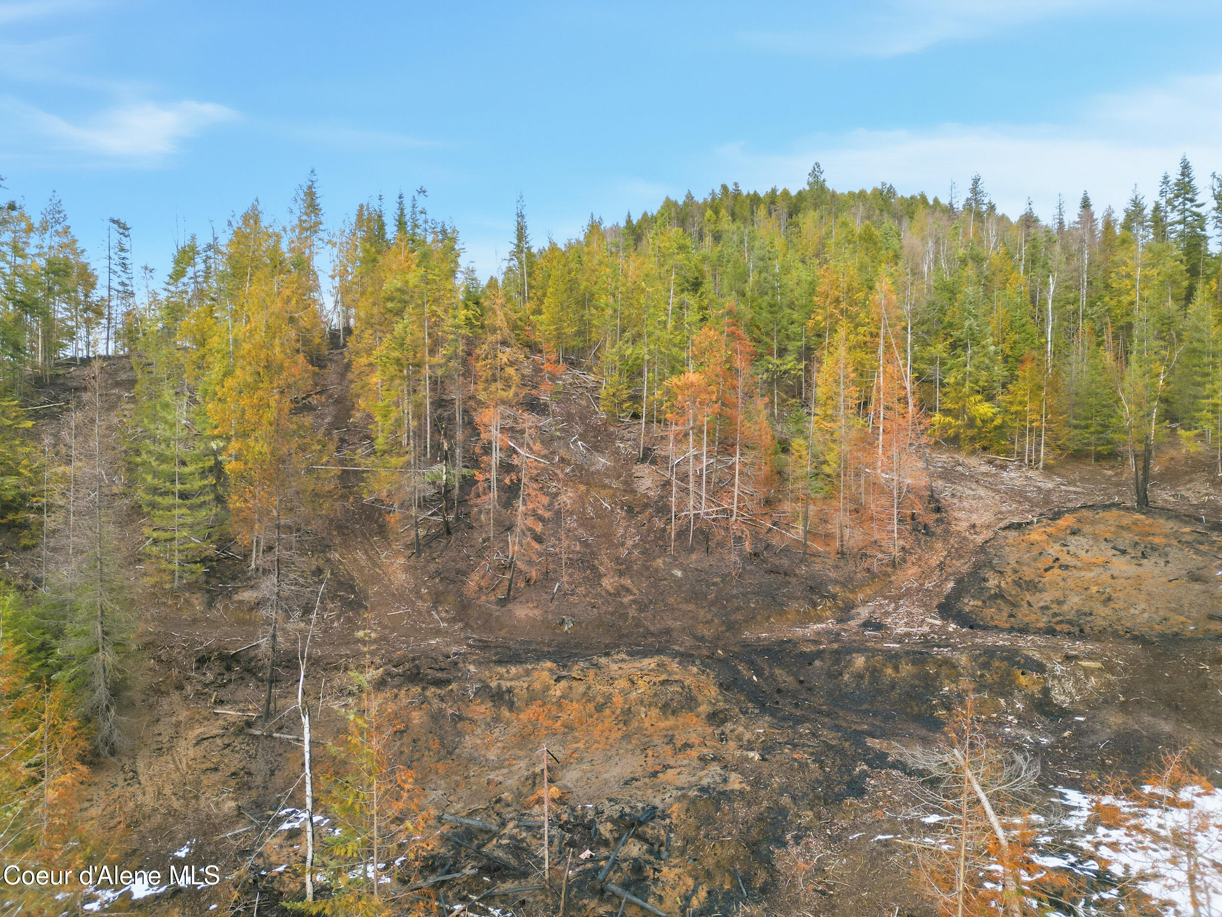 Nka Quartz Crk Road Priest River, ID 83856 - Photo 14 of 47 dji_0997