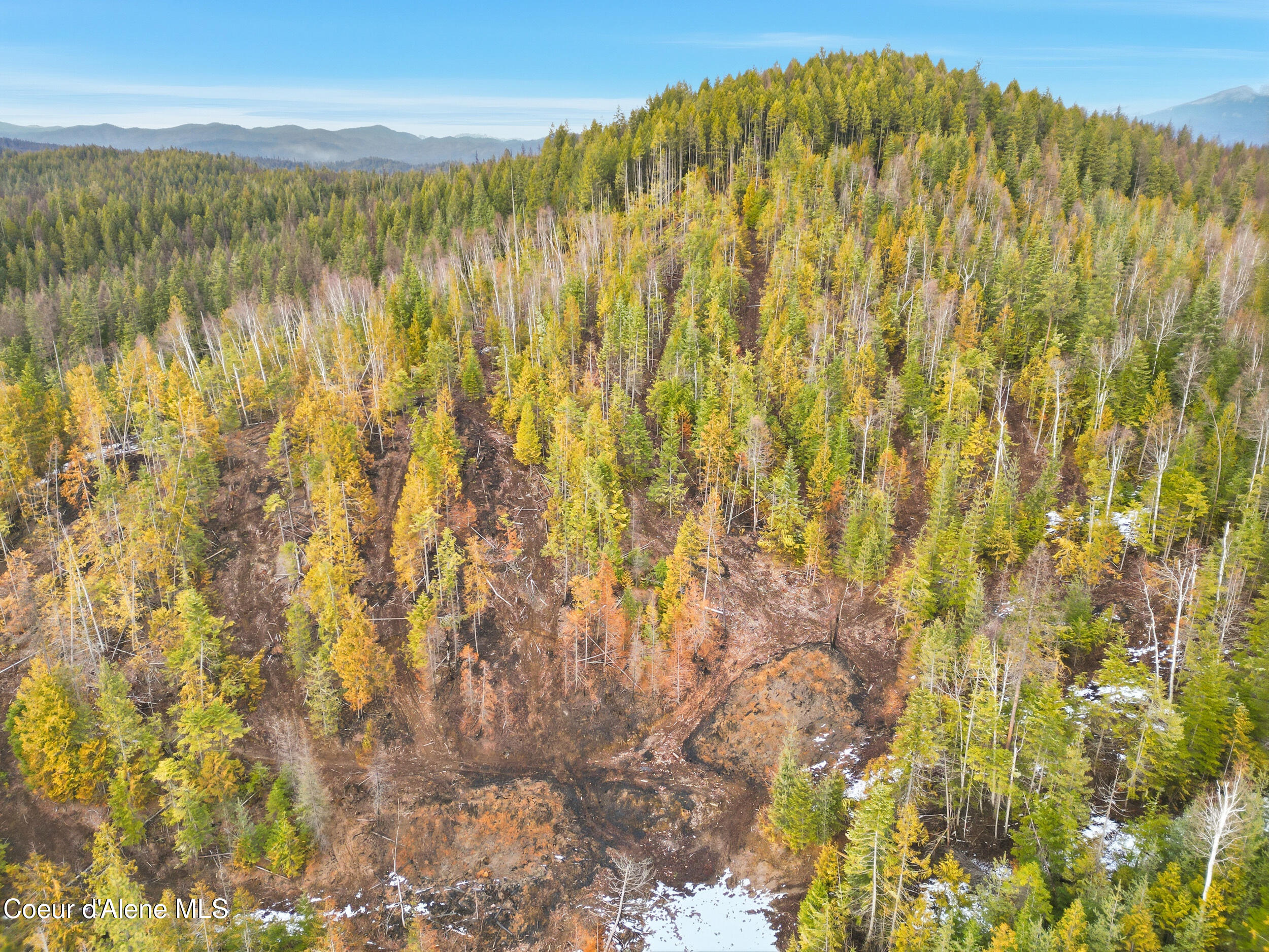 Nka Quartz Crk Road Priest River, ID 83856 - Photo 16 of 47 dji_0993