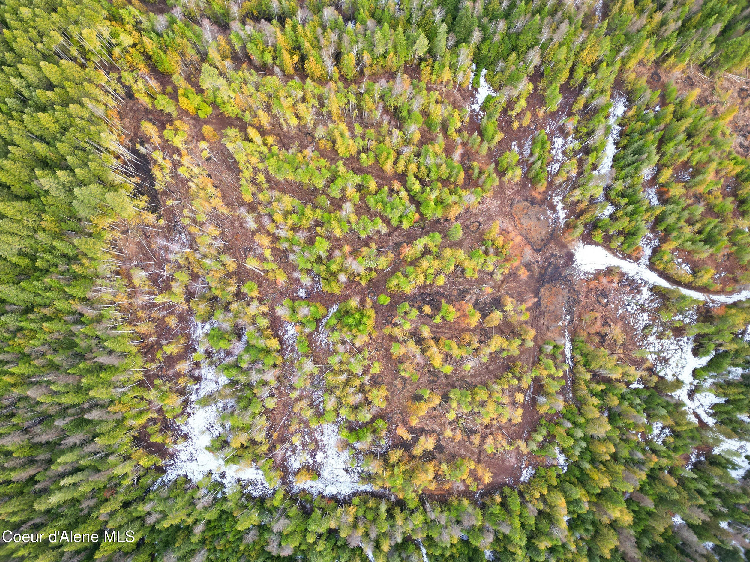 Nka Quartz Crk Road Priest River, ID 83856 - Photo 18 of 47 dji_0987