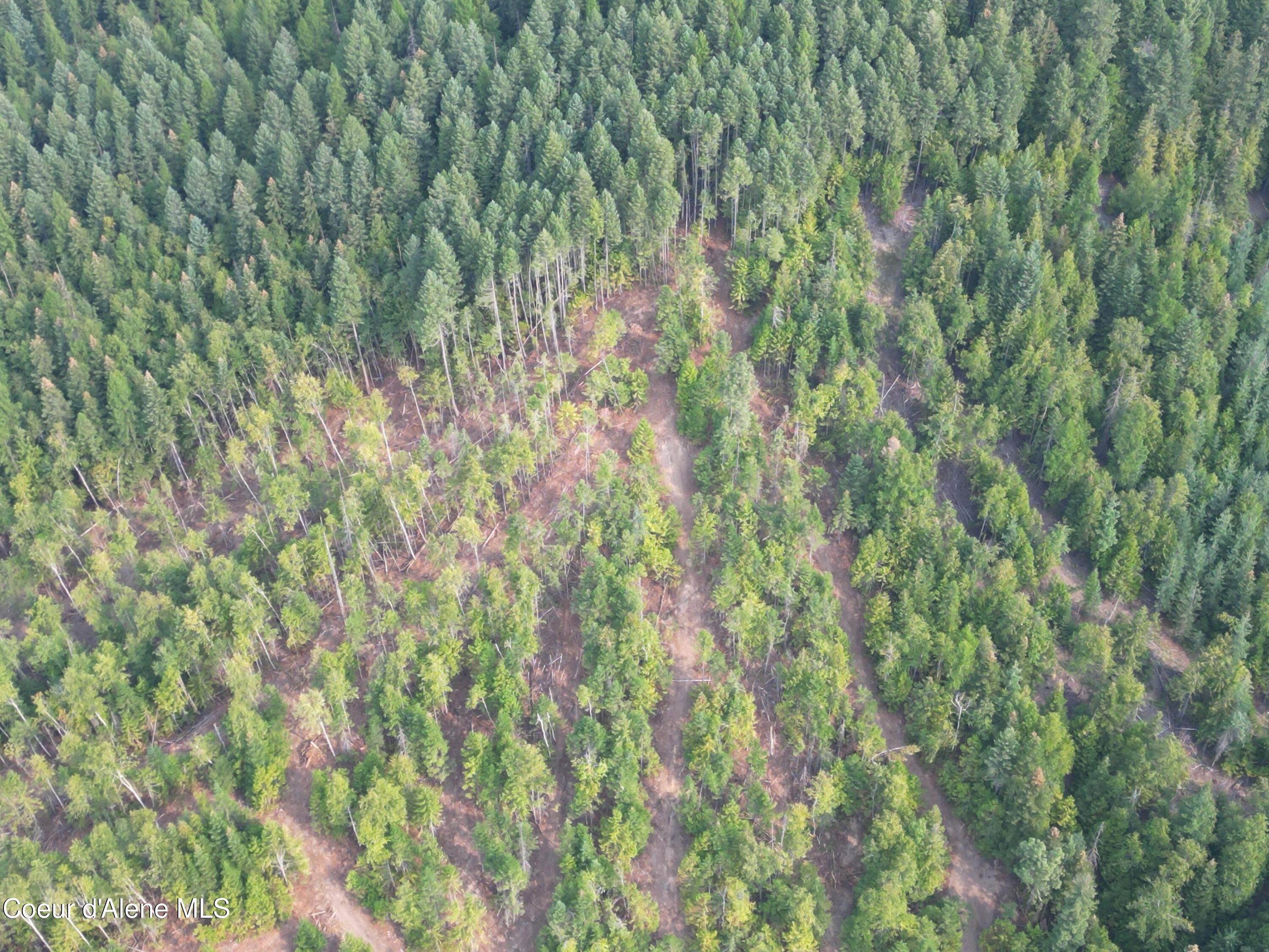 Nka Quartz Crk Road Priest River, ID 83856 - Photo 20 of 47 DJI_0017