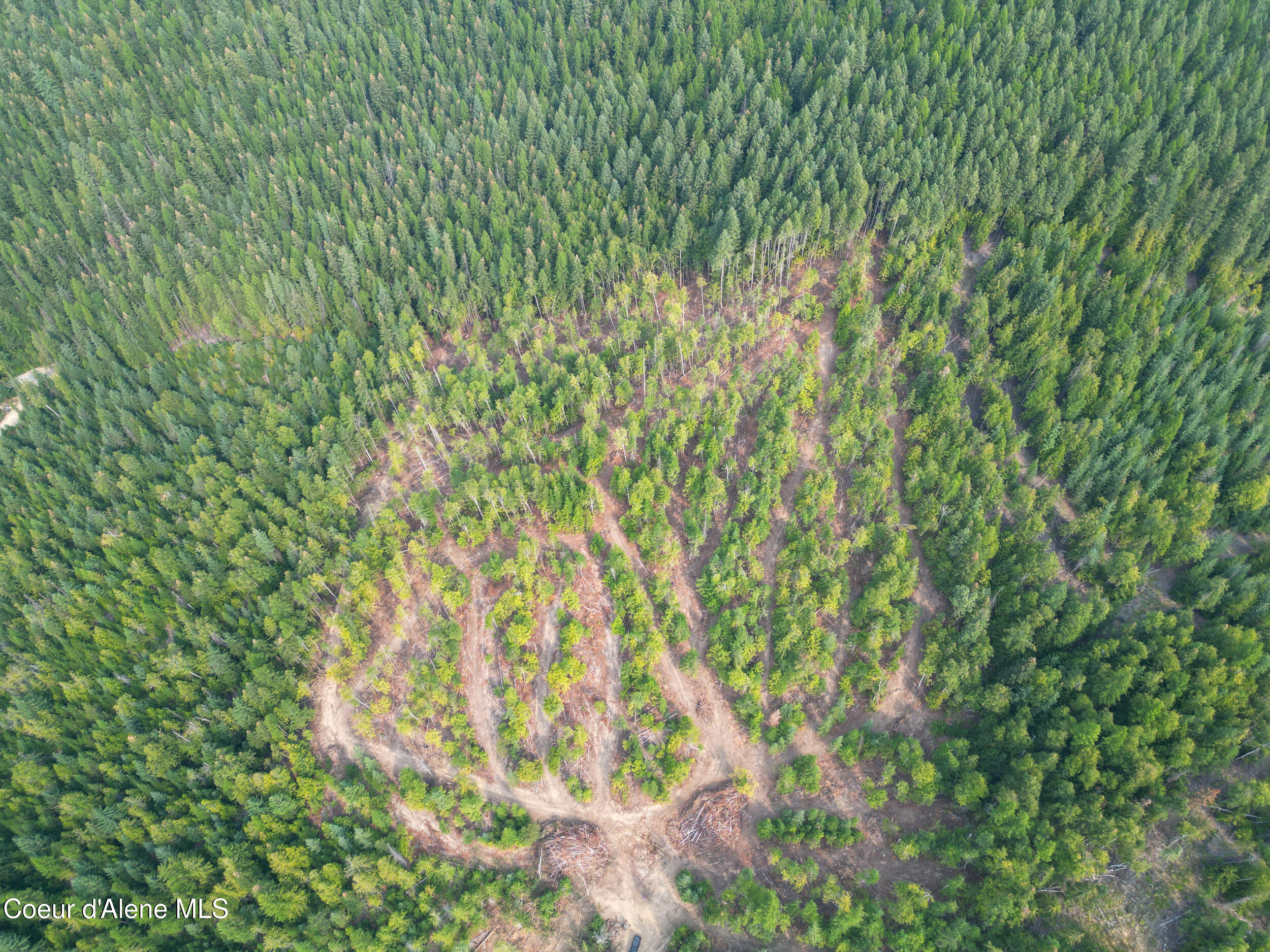 Nka Quartz Crk Road Priest River, ID 83856 - Photo 2 of 47 dji_0015(1)