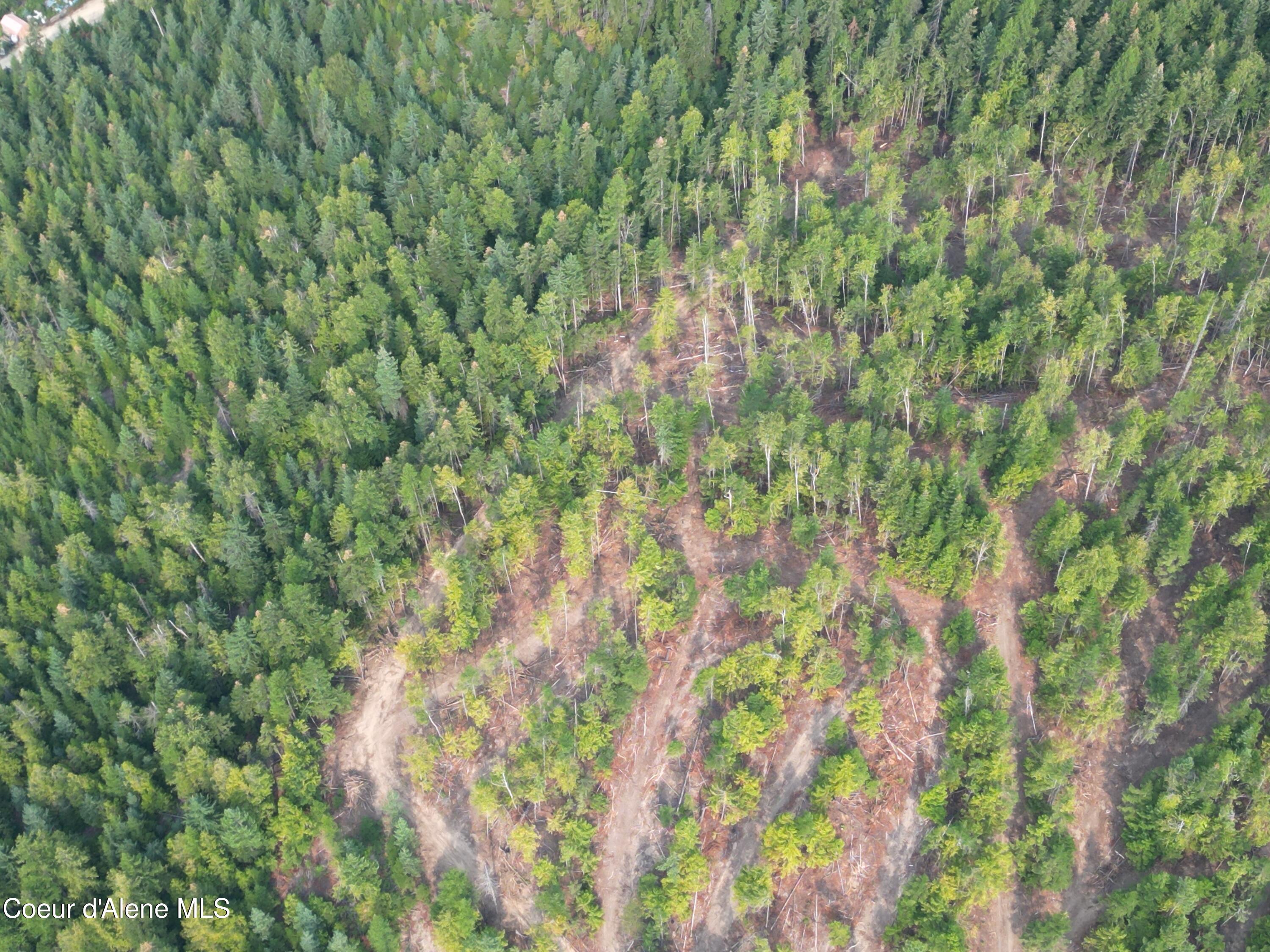 Nka Quartz Crk Road Priest River, ID 83856 - Photo 21 of 47 DJI_0018