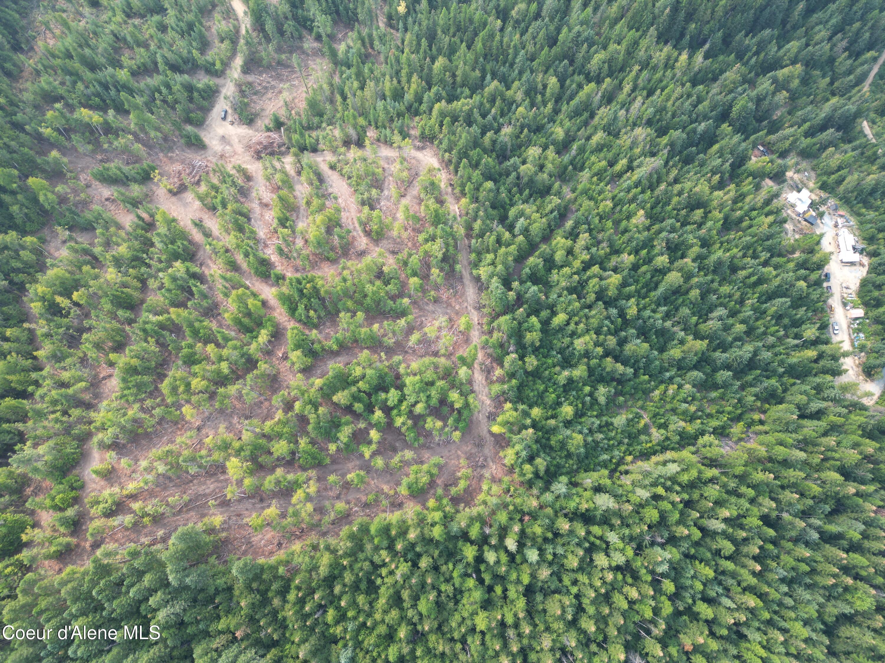 Nka Quartz Crk Road Priest River, ID 83856 - Photo 23 of 47 DJI_0022