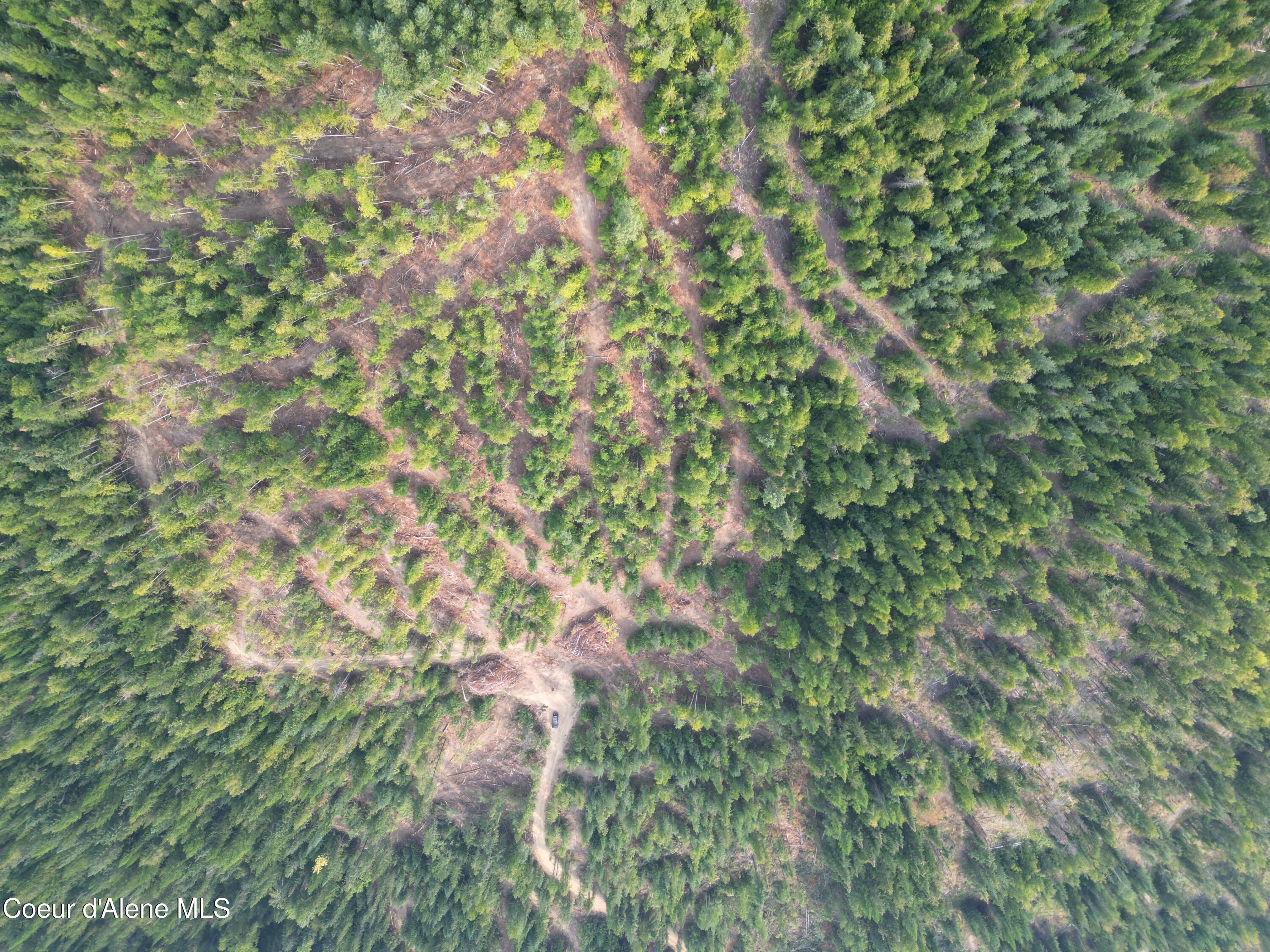 Nka Quartz Crk Road Priest River, ID 83856 - Photo 24 of 47 DJI_0031