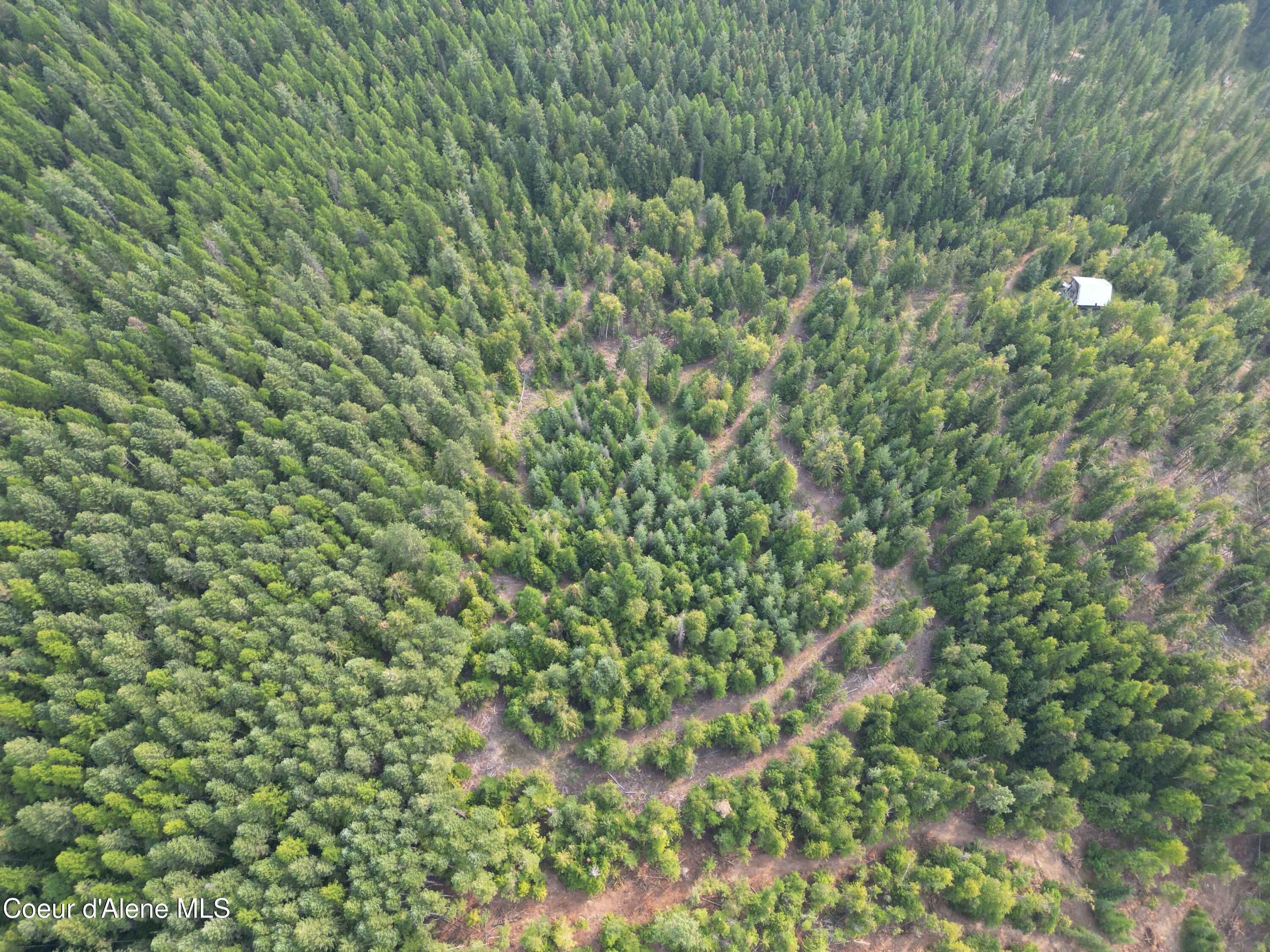 Nka Quartz Crk Road Priest River, ID 83856 - Photo 27 of 47 DJI_0024