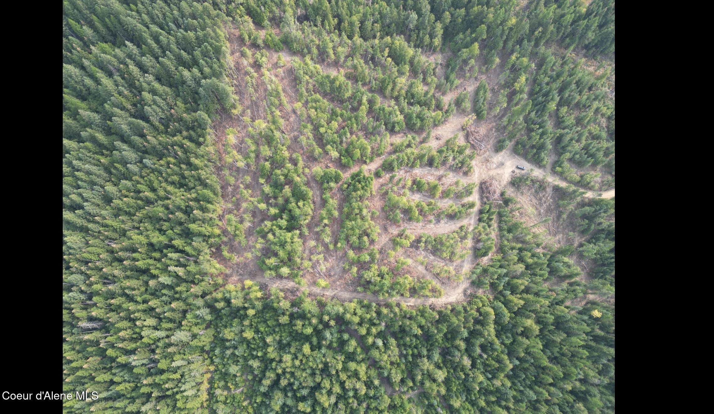 Nka Quartz Crk Road Priest River, ID 83856 - Photo 28 of 47 IMG_9761