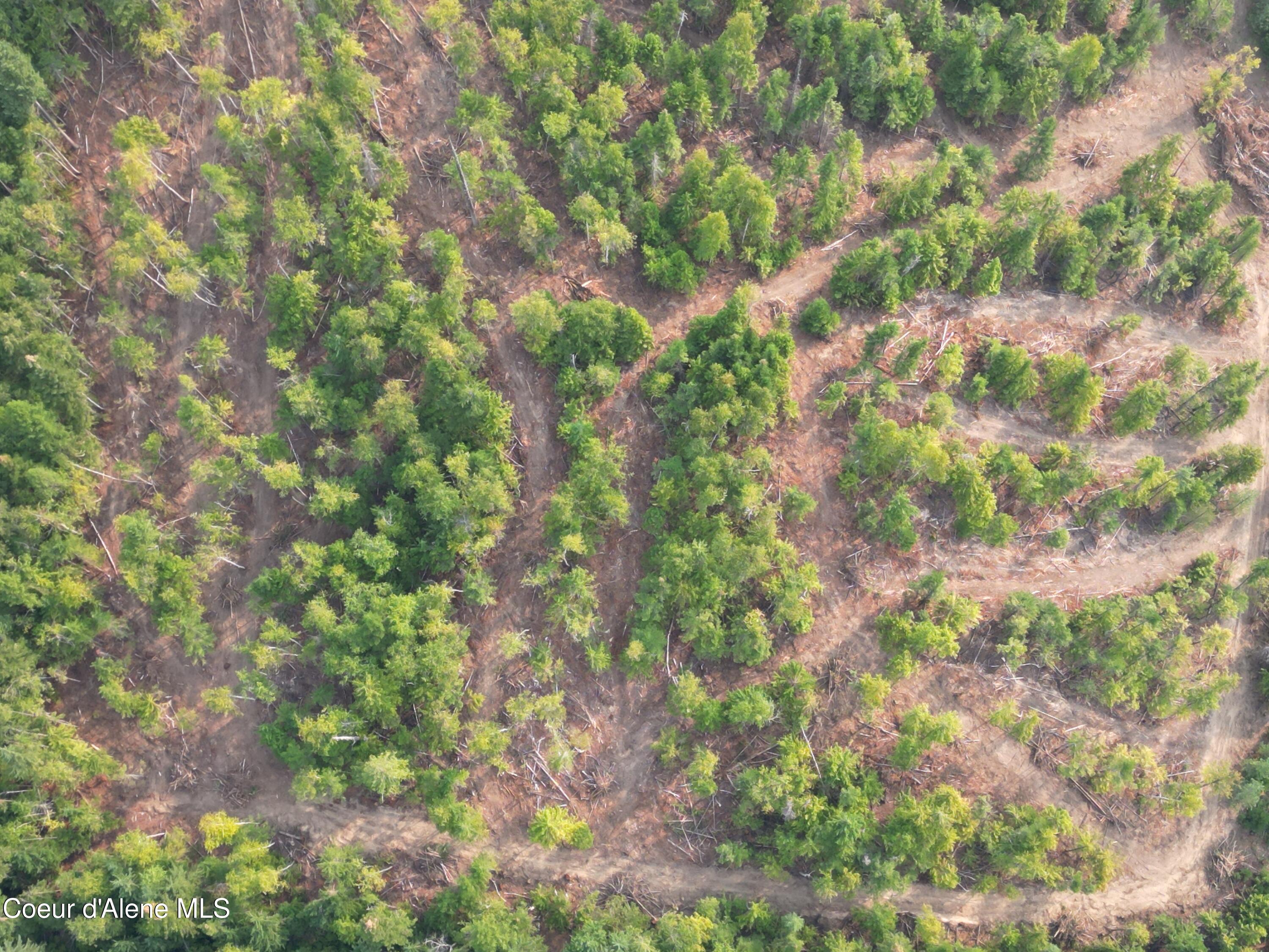 Nka Quartz Crk Road Priest River, ID 83856 - Photo 3 of 47 DJI_0019