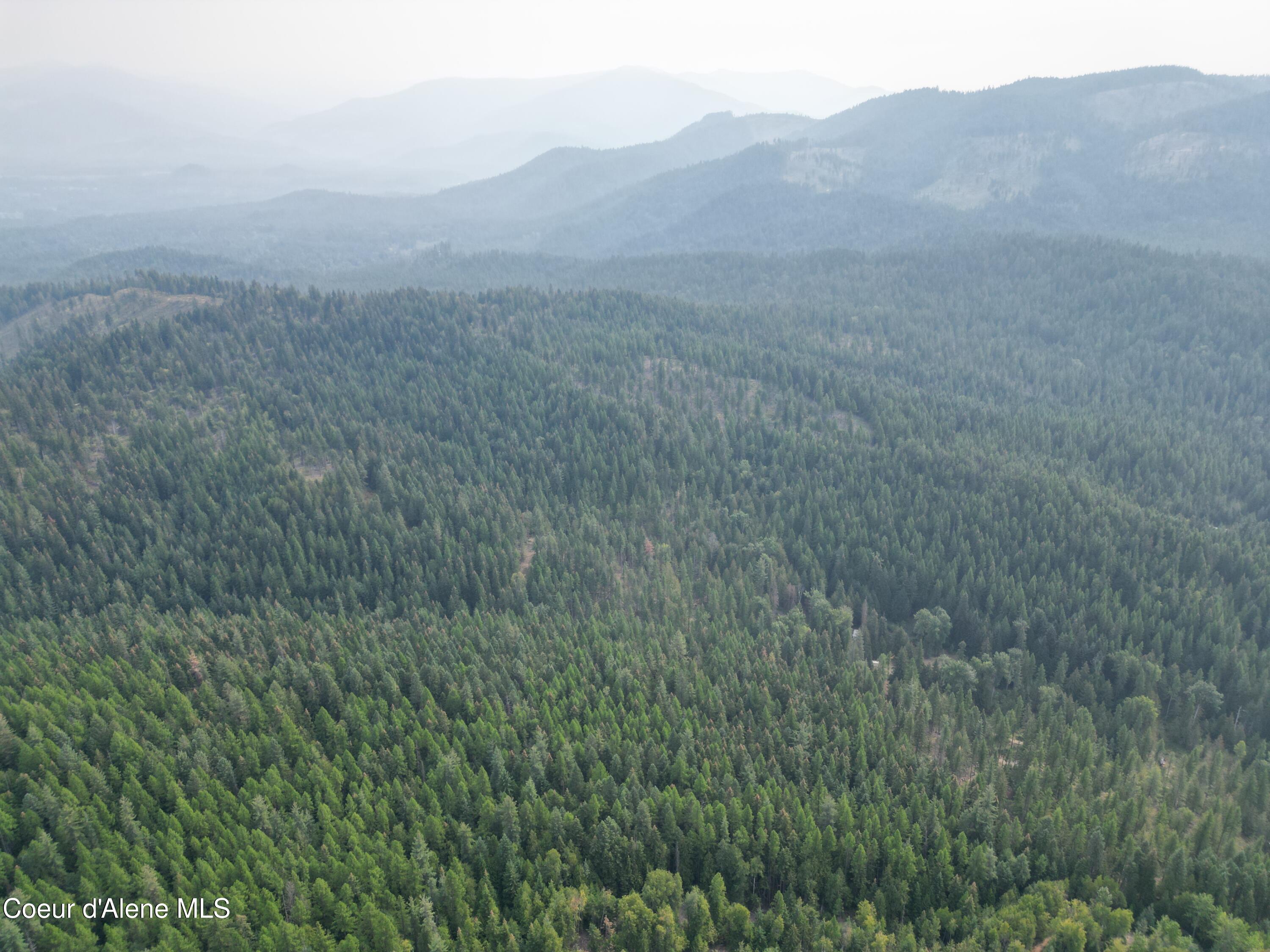 Nka Quartz Crk Road Priest River, ID 83856 - Photo 42 of 47 DJI_0025