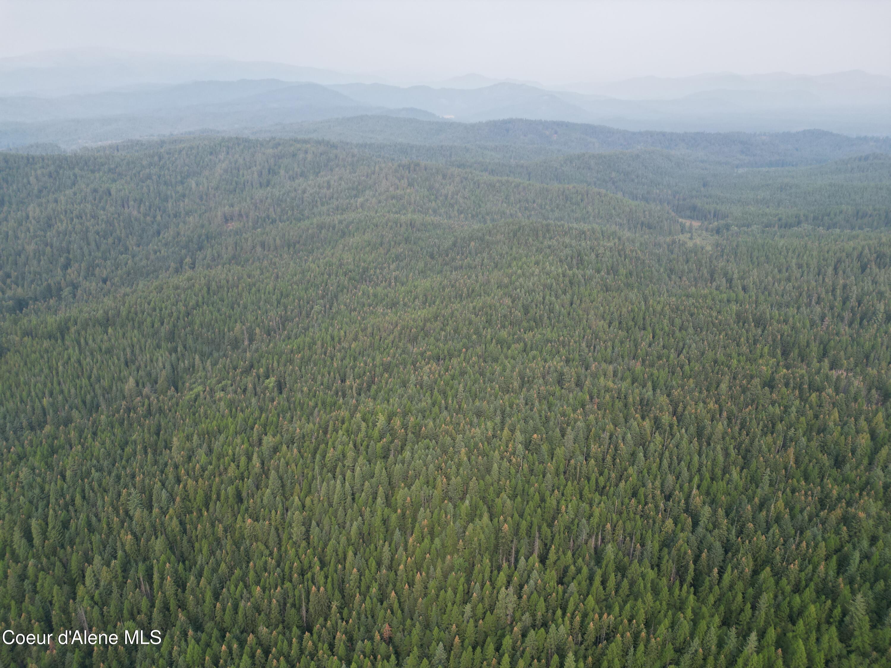 Nka Quartz Crk Road Priest River, ID 83856 - Photo 43 of 47 DJI_0028