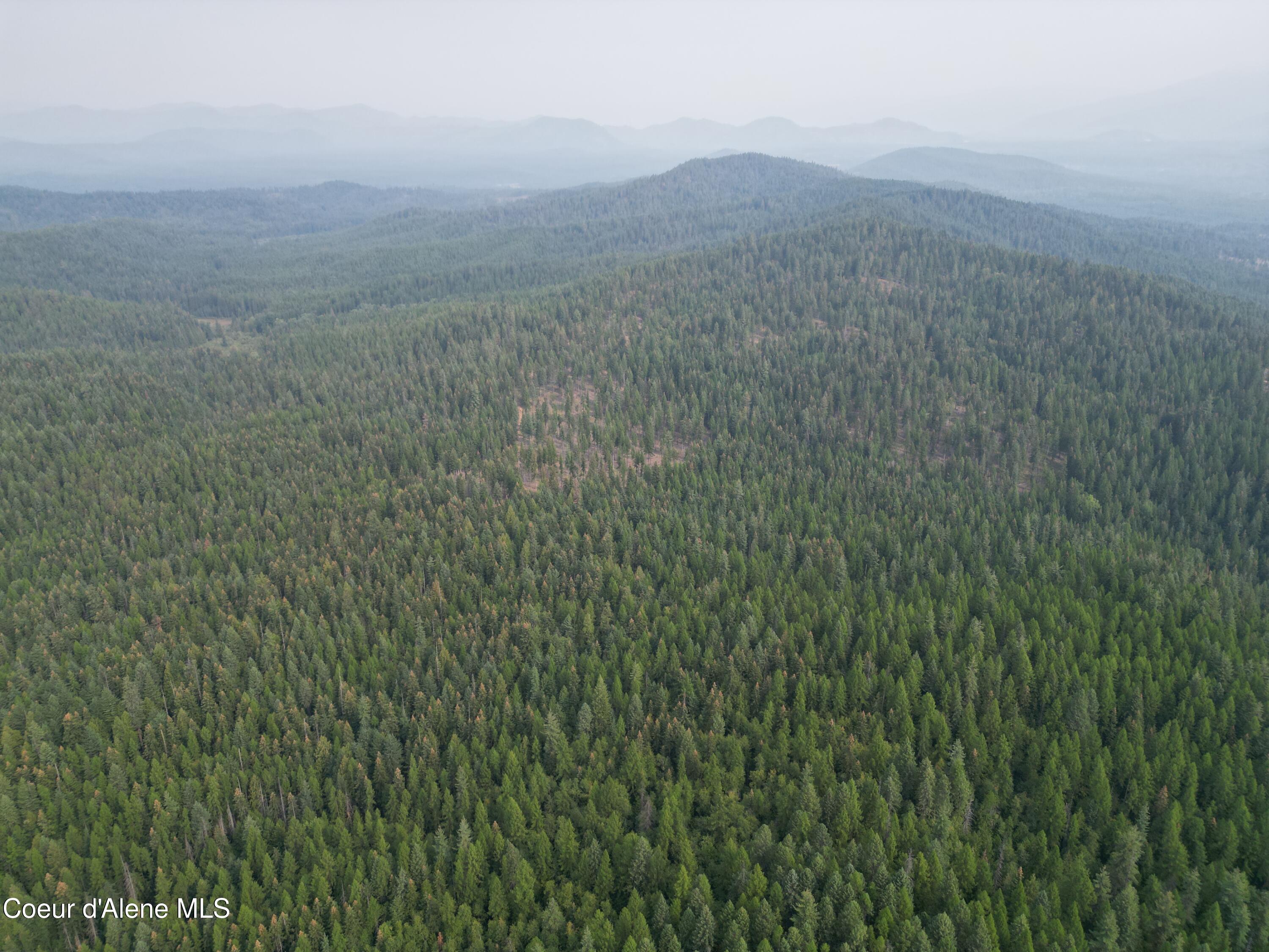 Nka Quartz Crk Road Priest River, ID 83856 - Photo 44 of 47 DJI_0029