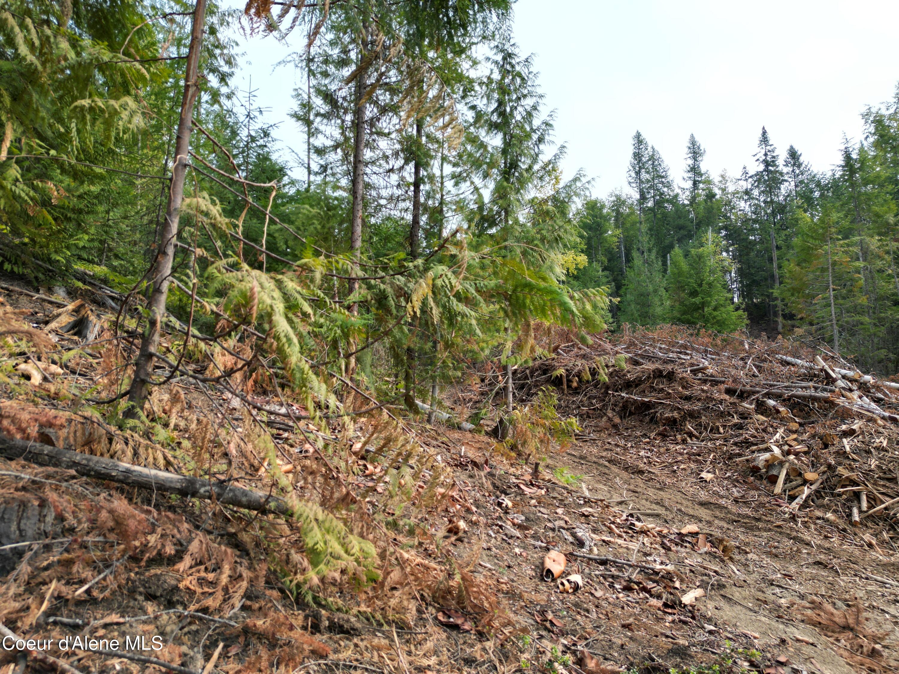 Nka Quartz Crk Road Priest River, ID 83856 - Photo 46 of 47 DJI_0035