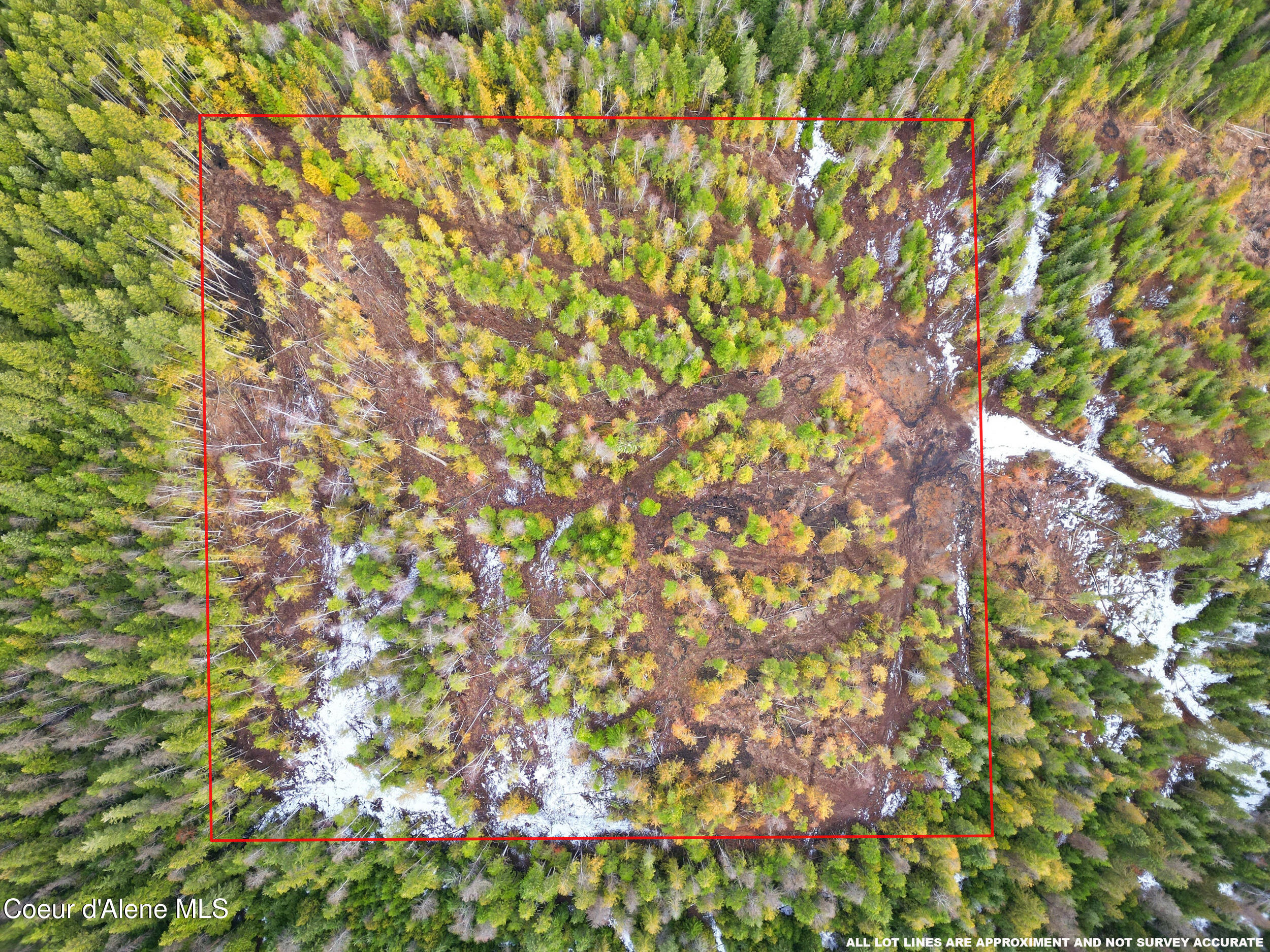 Nka Quartz Crk Road Priest River, ID 83856 - Photo 6 of 47 dji_0987 copy