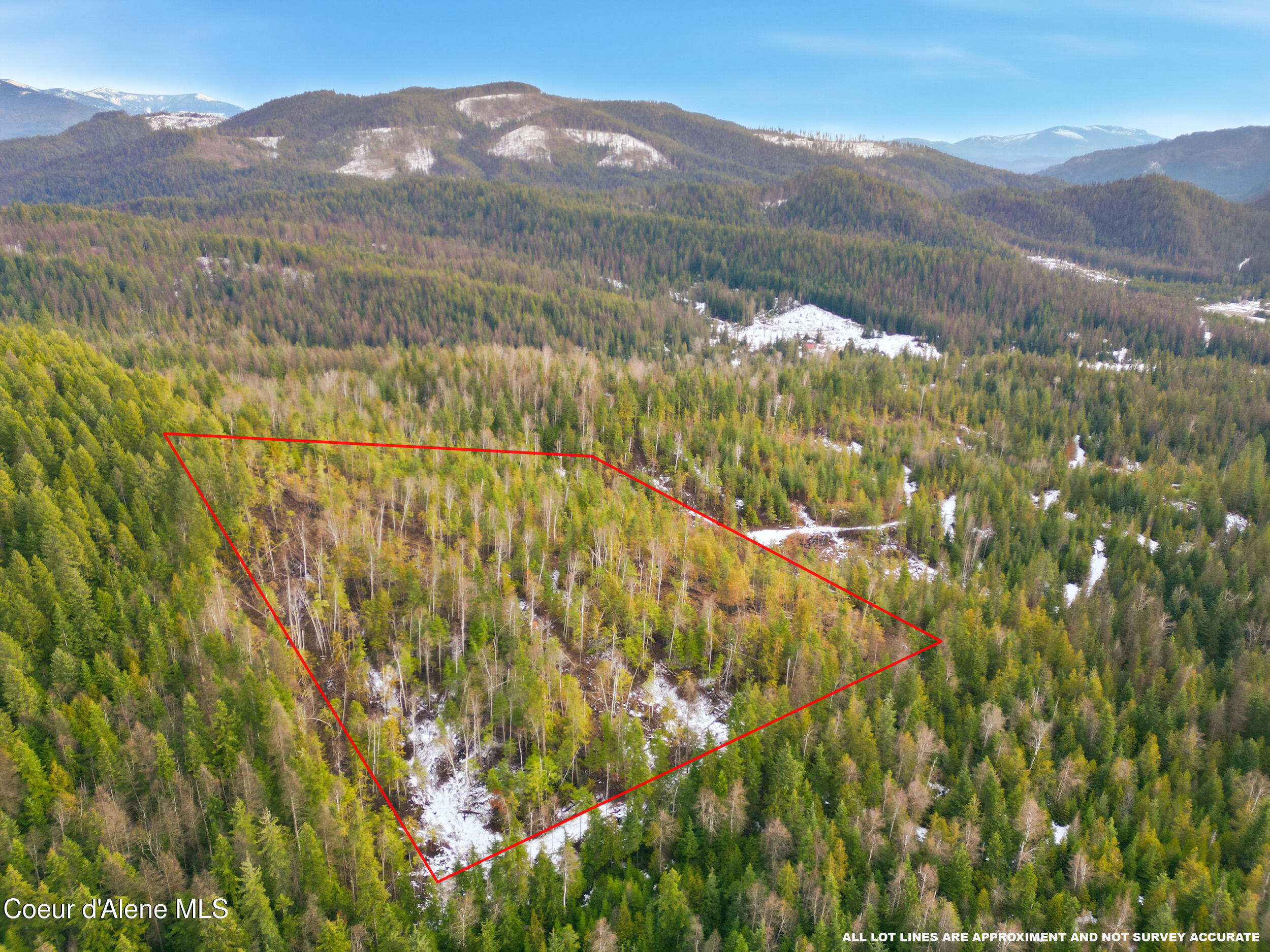 Nka Quartz Crk Road Priest River, ID 83856 - Photo 7 of 47 dji_0981 copy