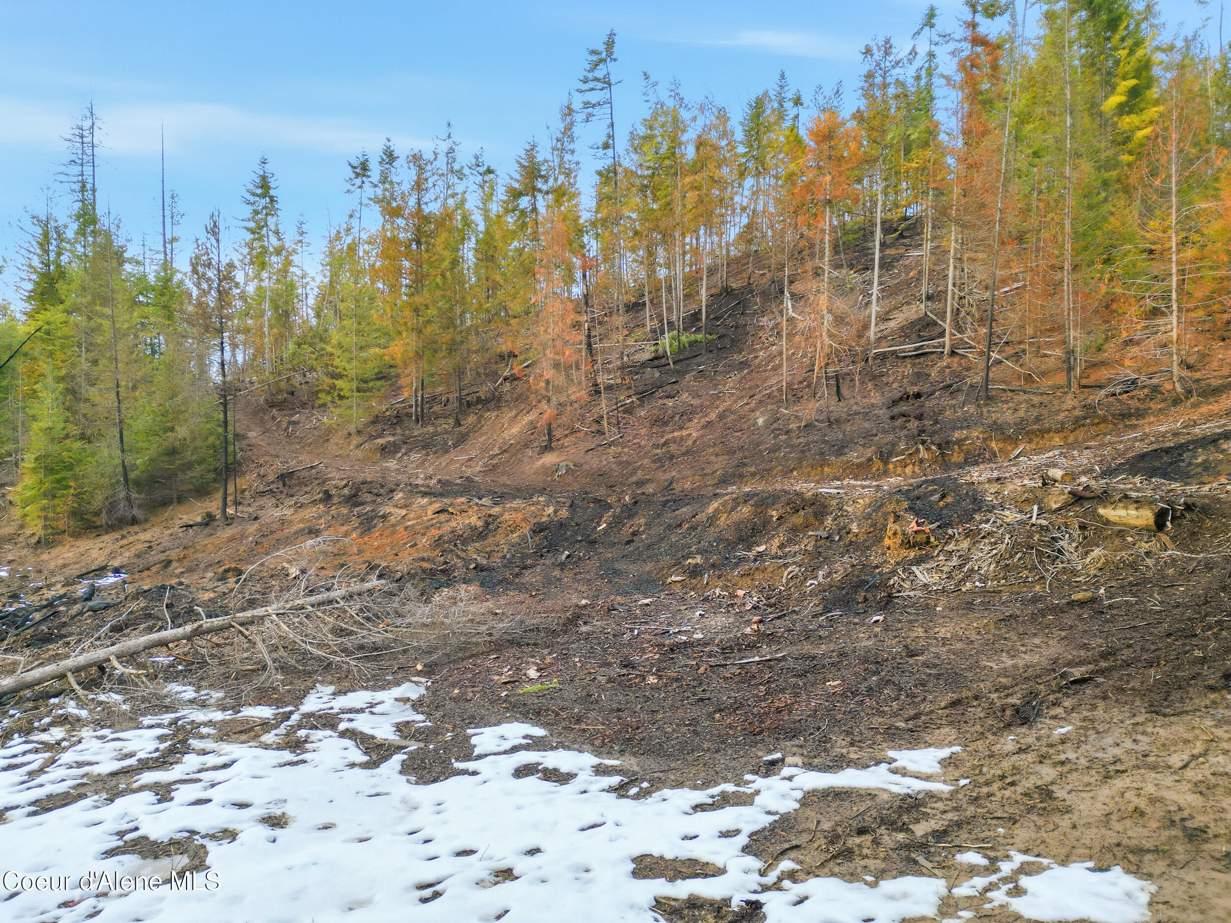 Nka Quartz Crk Road Priest River, ID 83856 - Photo 8 of 47 dji_0995