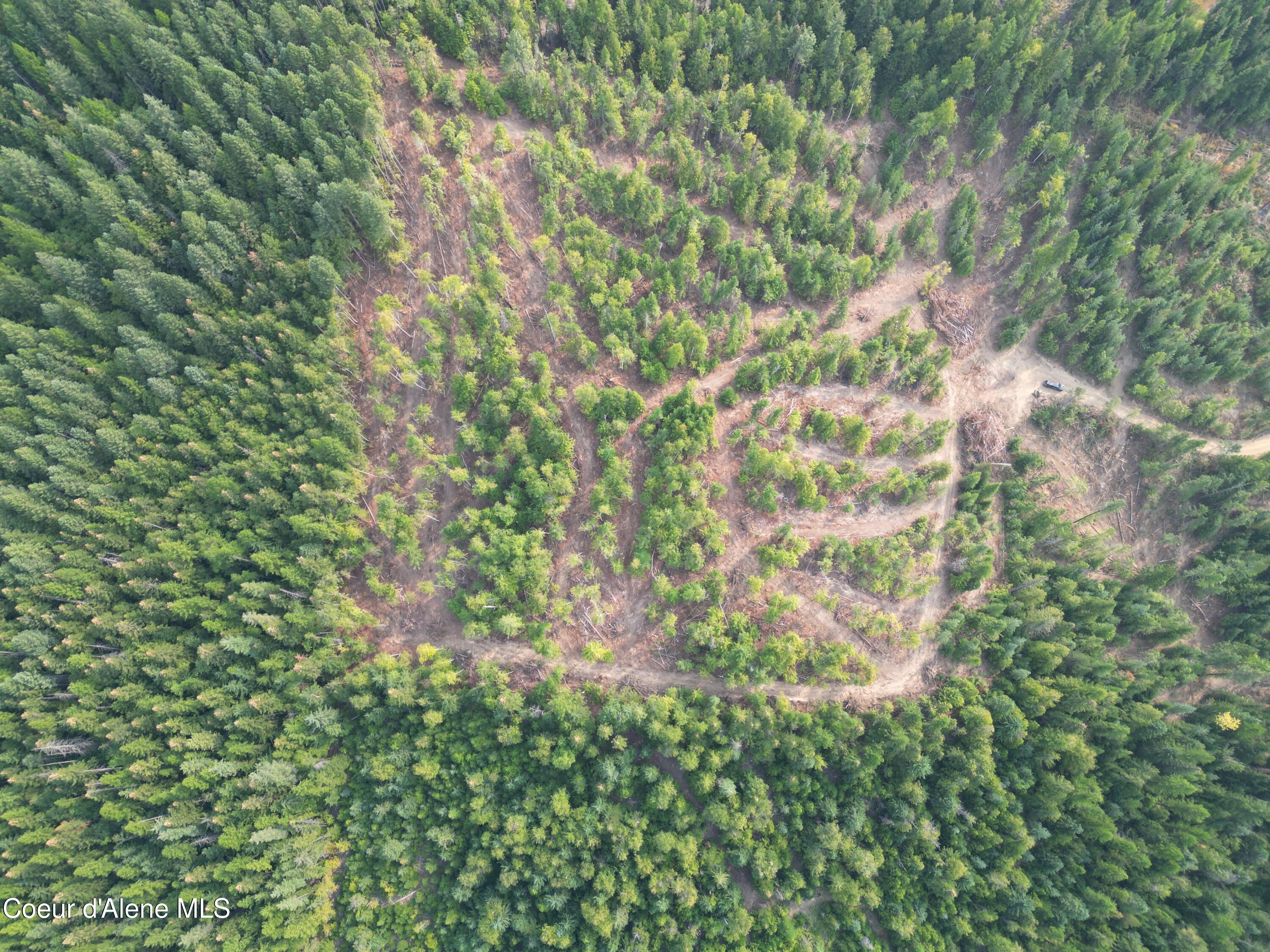 Nka Quartz Crk Road Priest River, ID 83856 - Photo 10 of 47 DJI_0020