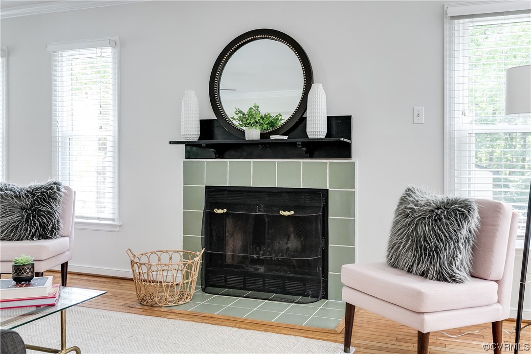 6007 Mill Spring Court Midlothian, VA 23112 - Photo 17 of 37 a living room with furniture and a fireplace
