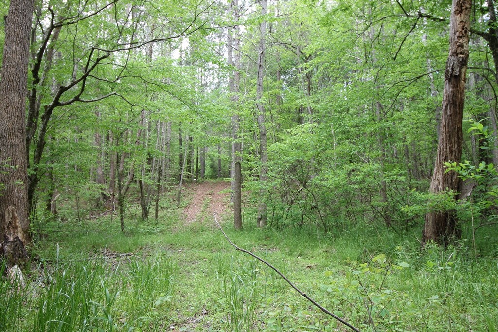 Sheltons Road, Unit 3 Drakes Branch, VA 23937 - Photo 16 of 18 Gallery Image 16
