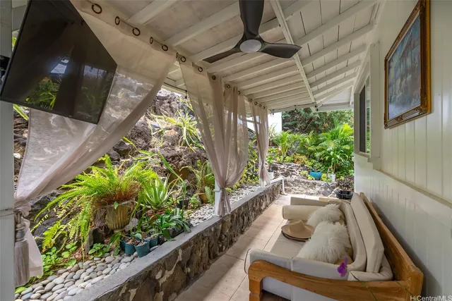 a view of a yard with plants