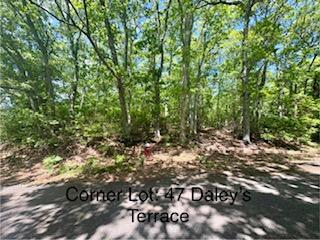 47 Daleys Terrace Orleans, MA 02653 - Photo 3 of 37 47 Daley's Terrace Lot prior to clearing