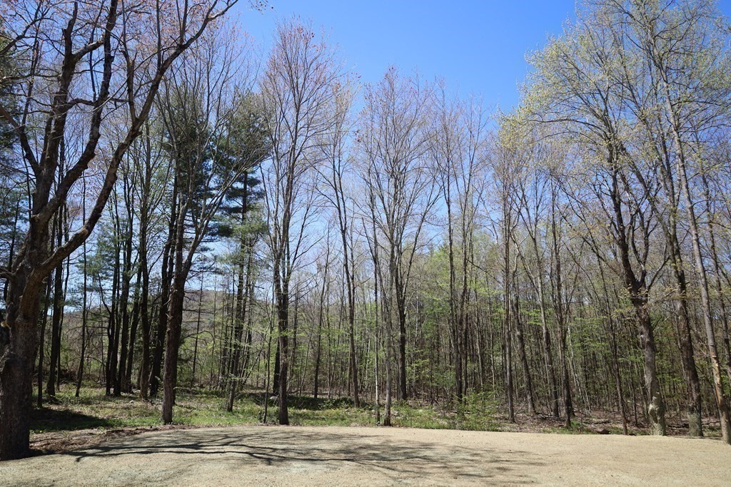 109 North Road Westfield, MA 01085 - Photo 9 of 41 a view of a park with large trees