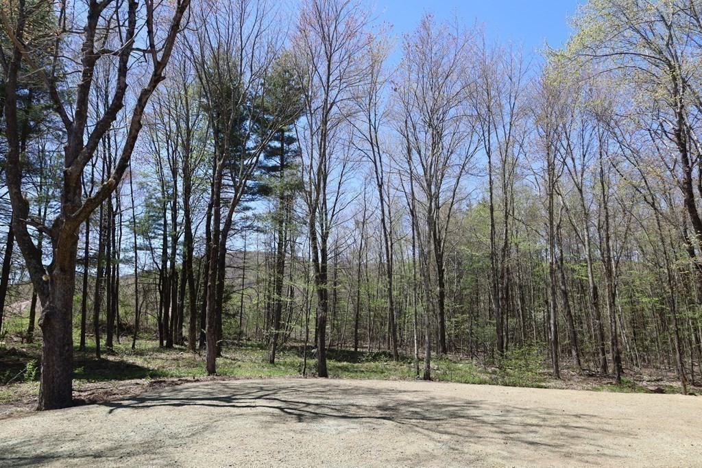 109 North Road Westfield, MA 01085 - Photo 10 of 41 a view of a house with large trees