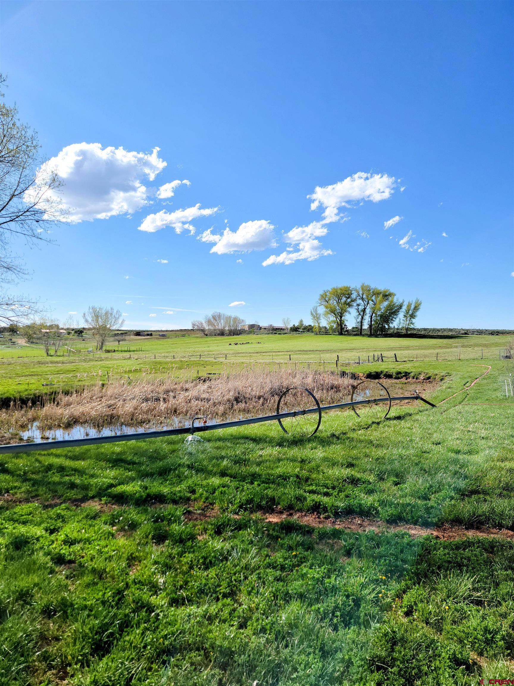 22667 Rd L Cortez, CO 81321 - Photo 28 of 35 a view of a golf course with a lake