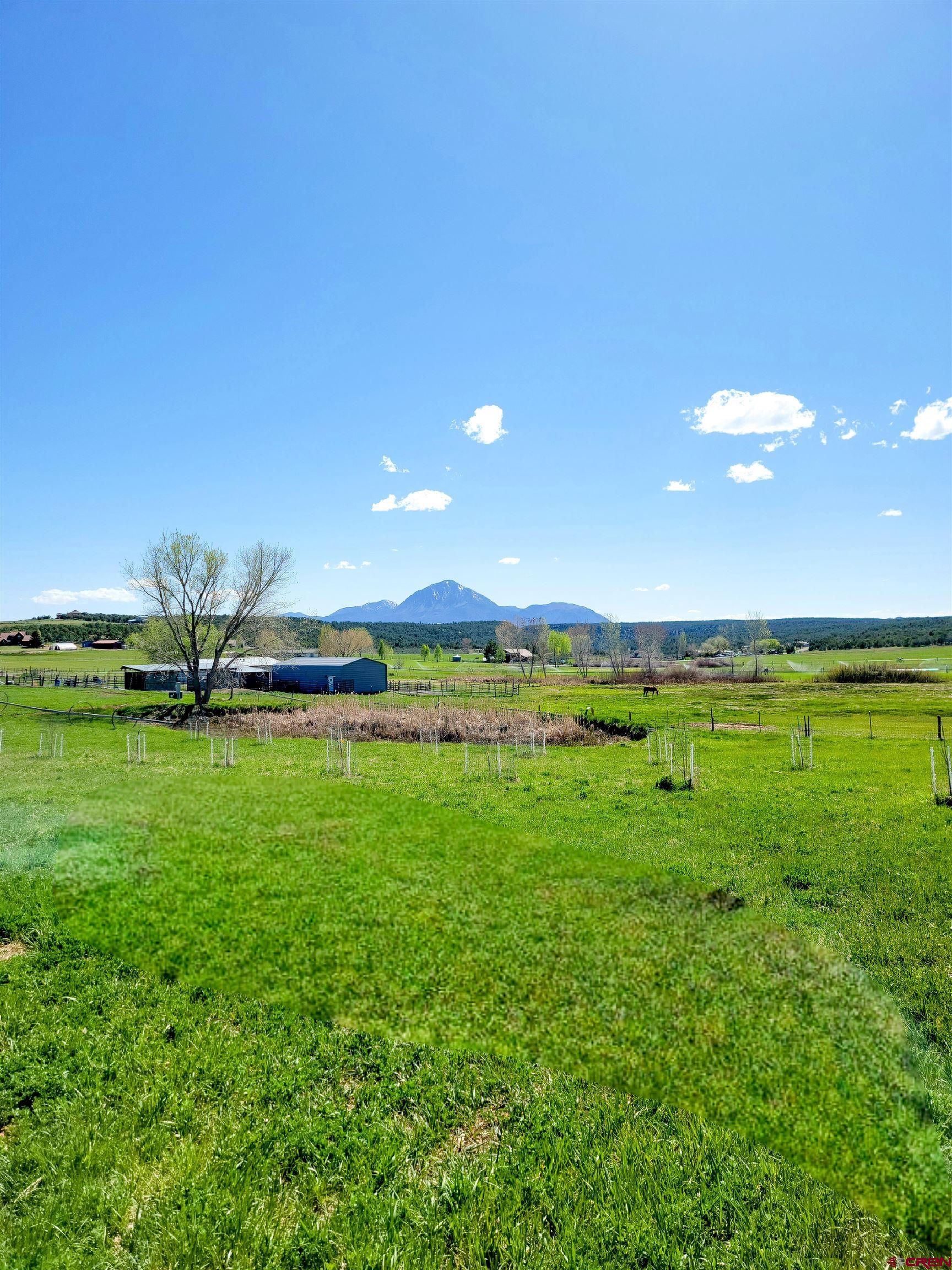 22667 Rd L Cortez, CO 81321 - Photo 29 of 35 a view of an ocean from a yard