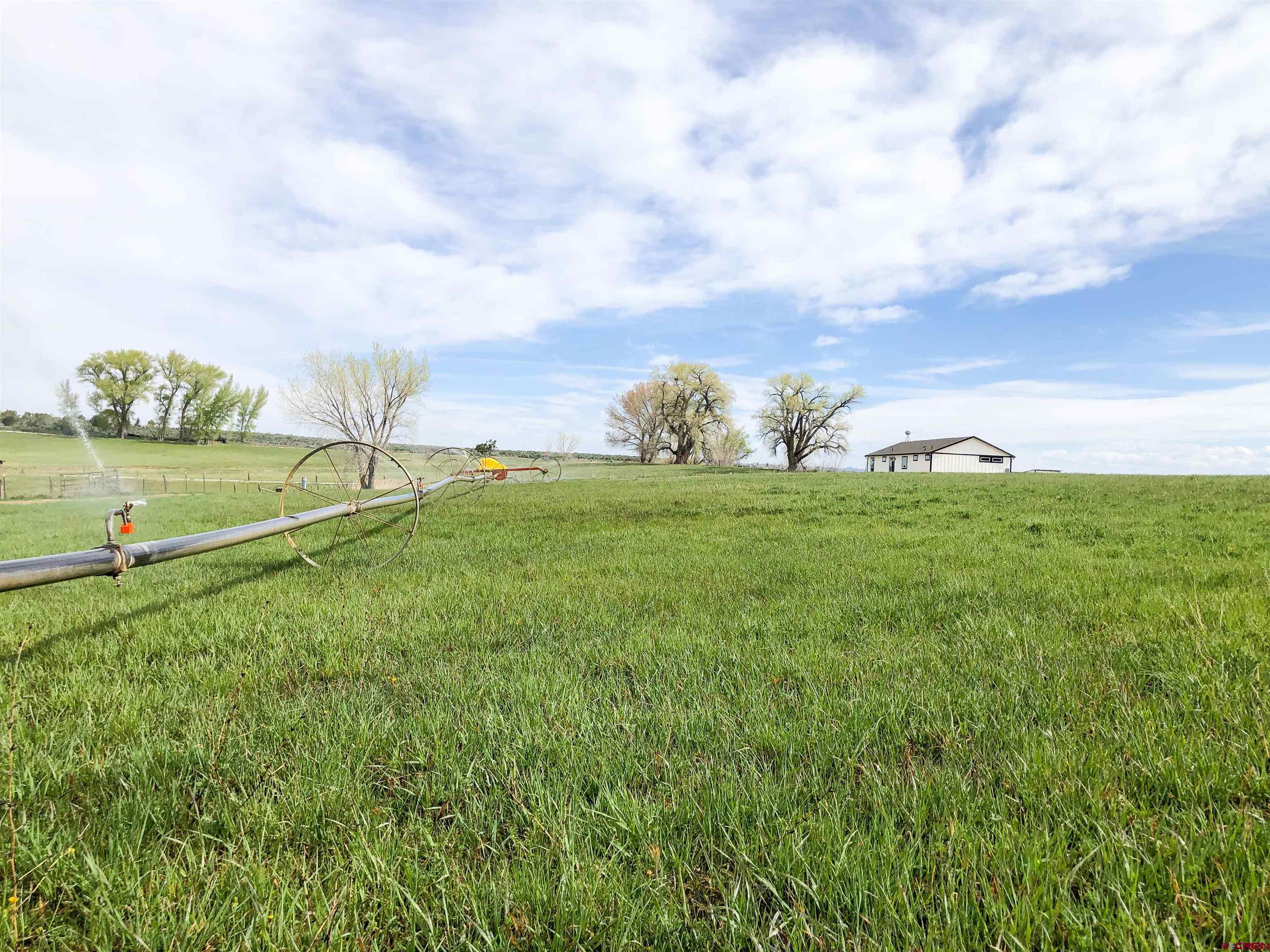 22667 Rd L Cortez, CO 81321 - Photo 31 of 35 a view of a field with an ocean