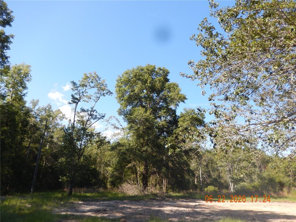 761 Southwest Sunview Street Fort White, FL 32038 - Photo 2 of 4
